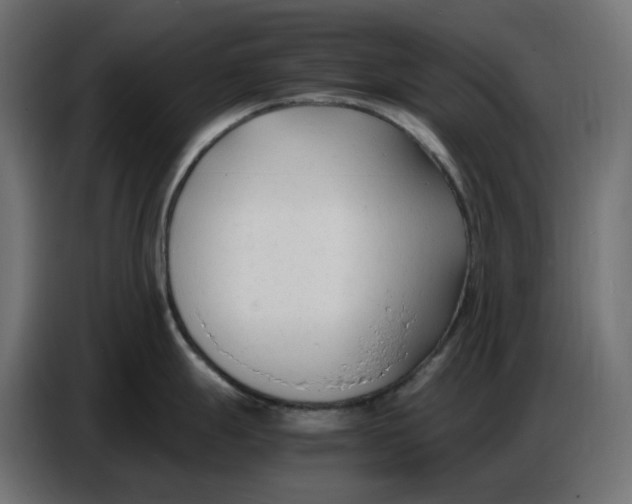 X0000086721247200705041321