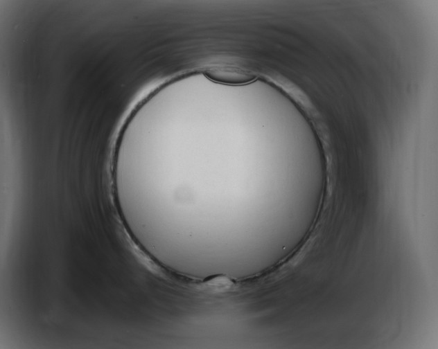 X0000086721248200705041321