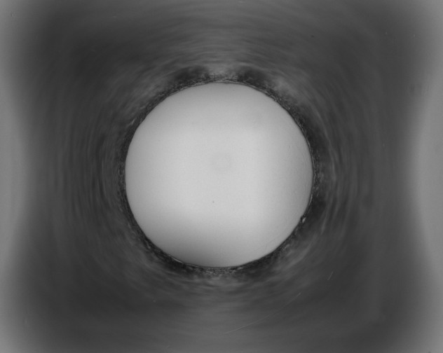 X0000086721249200705041321