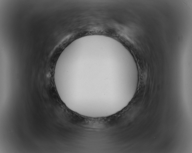 X0000086721254200705041321