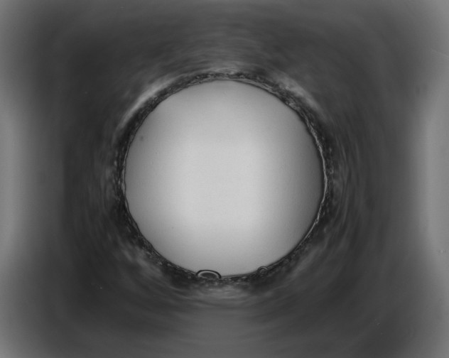 X0000086721256200705041321