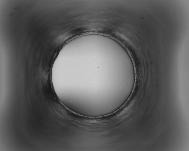 X0000086721257200705041321