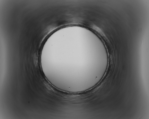 X0000086721260200705041320