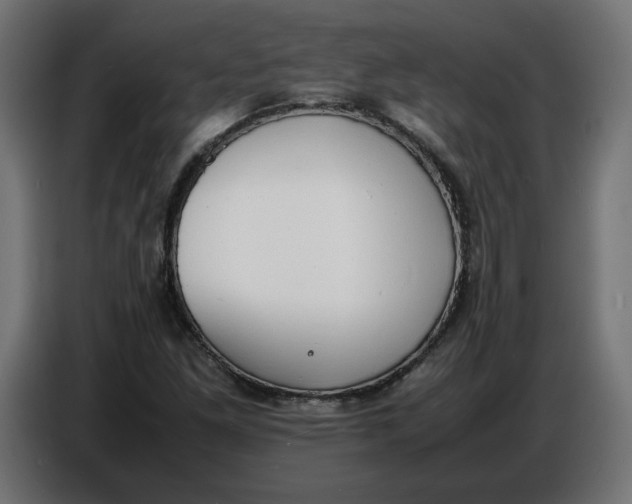 X0000086721261200705041320