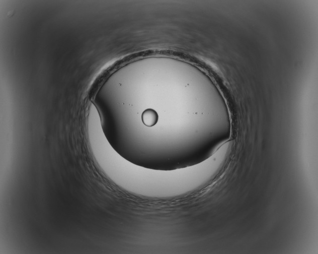 X0000086721263200705041320