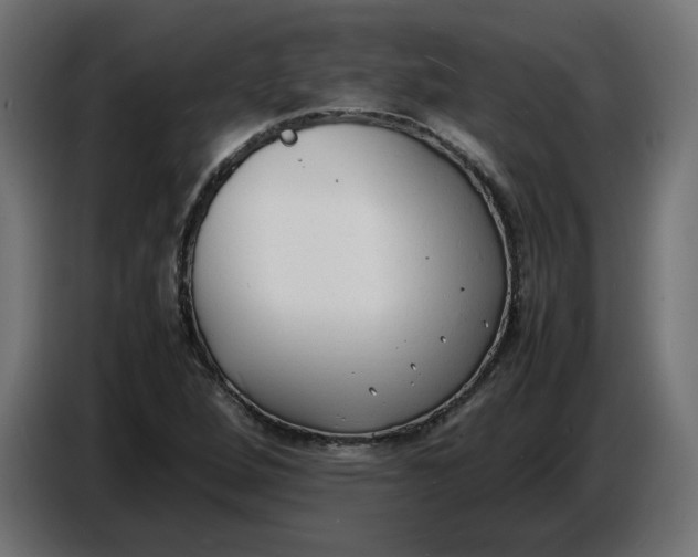 X0000086721264200705041320