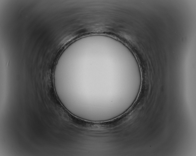X0000086721265200705041320