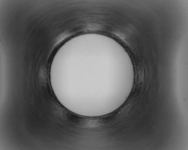X0000086721266200705041320