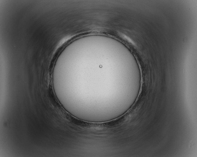 X0000086721267200705041320