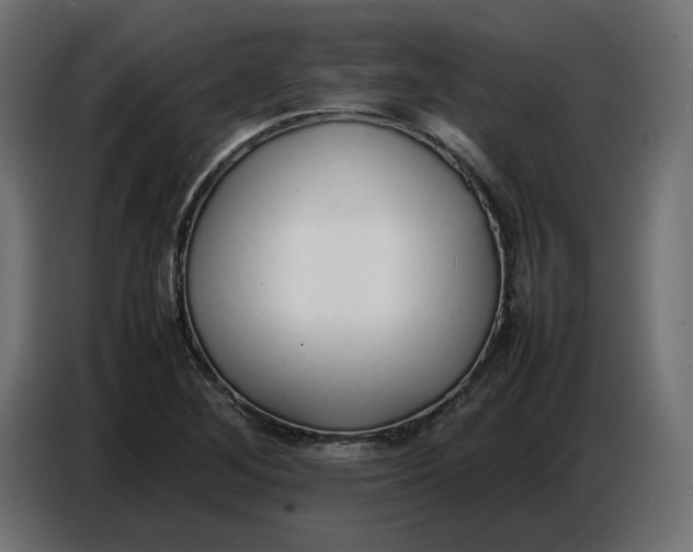X0000086721268200705041320