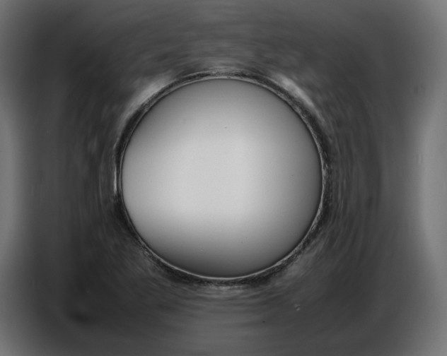 X0000086721269200705041320