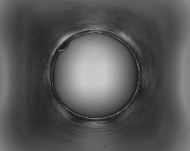 X0000086721272200705041320