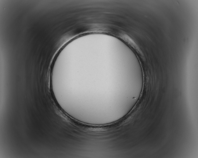 X0000086721276200705041320