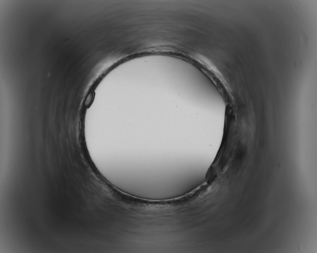 X0000086721277200705041320