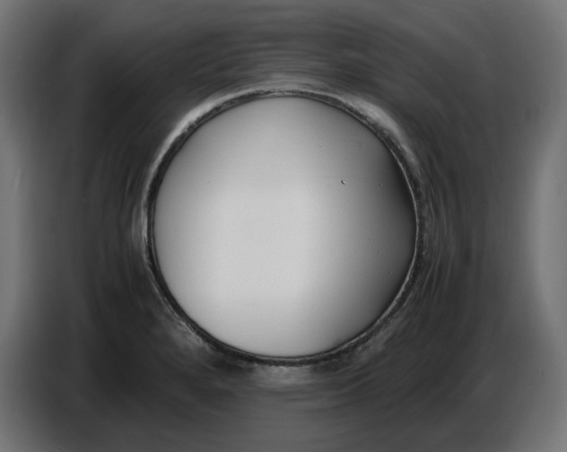 X0000086721280200705041320