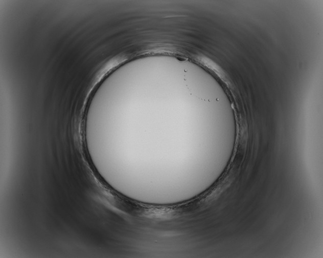 X0000086721282200705041320