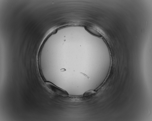 X0000086721283200705041320