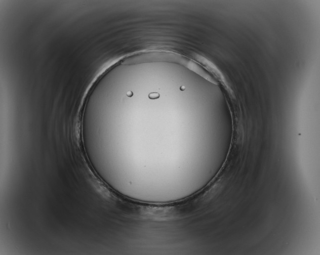 X0000086721284200705041320