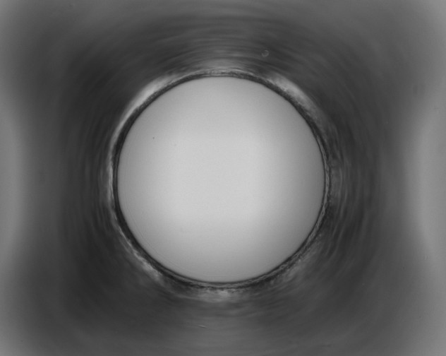 X0000086721286200705041320