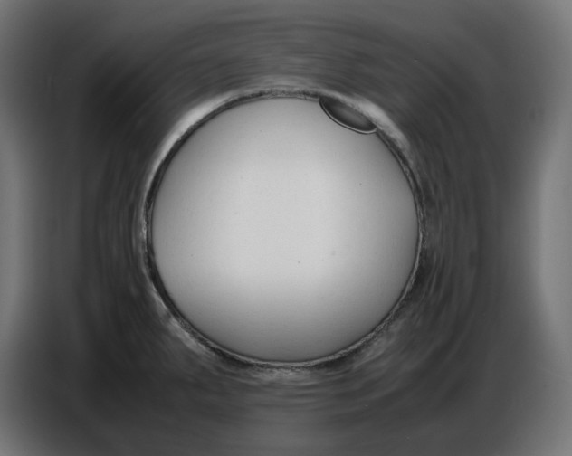 X0000086721287200705041320