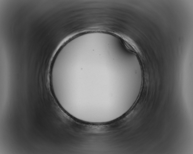 X0000086721288200705041320