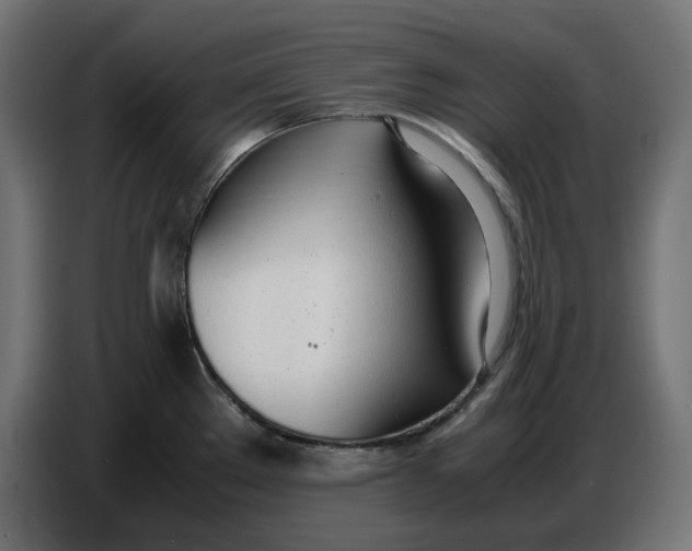 X0000086721289200705041320
