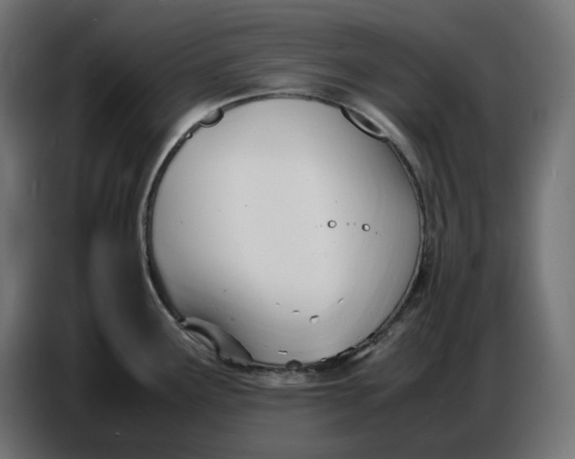 X0000086721291200705041320