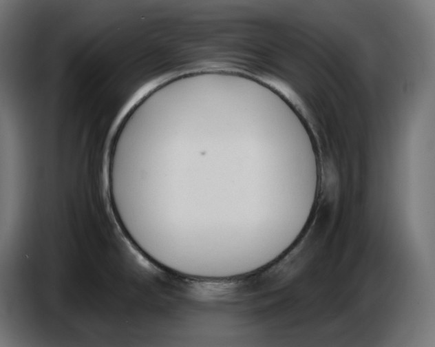 X0000086721294200705041320