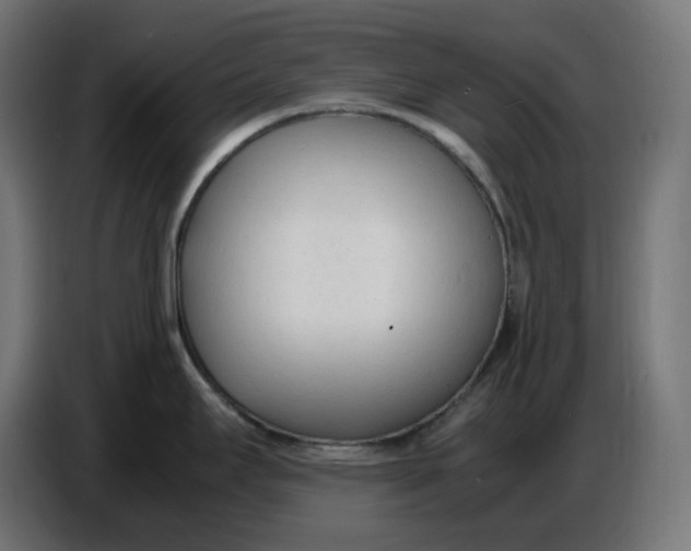 X0000086721295200705041320
