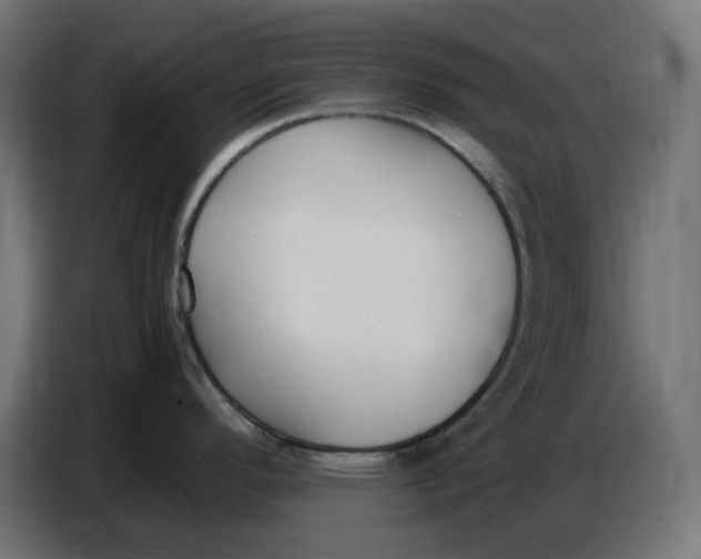 X0000086721296200705041320