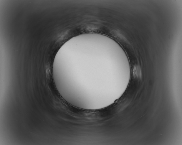 X0000086721299200705041319