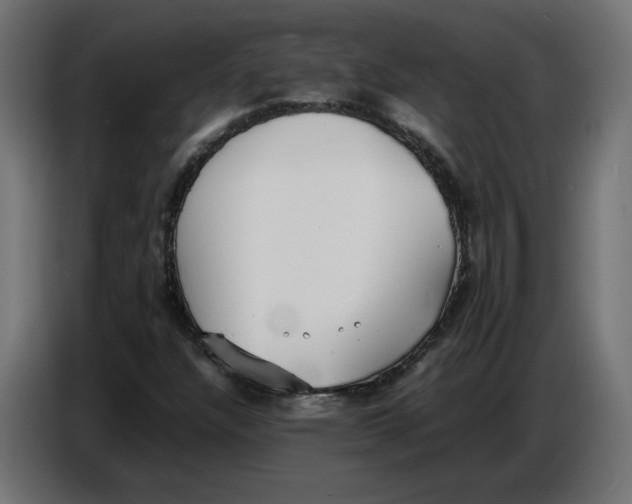 X0000086721304200705041319