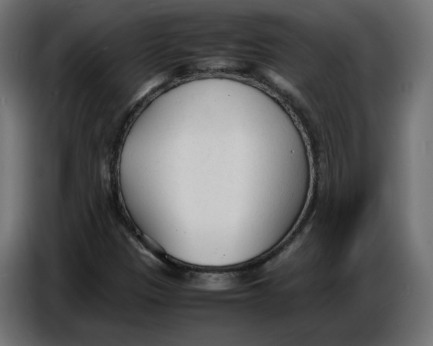 X0000086721305200705041319