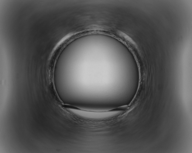 X0000086721310200705041320