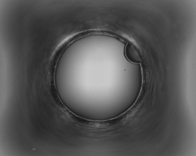 X0000086721311200705041320