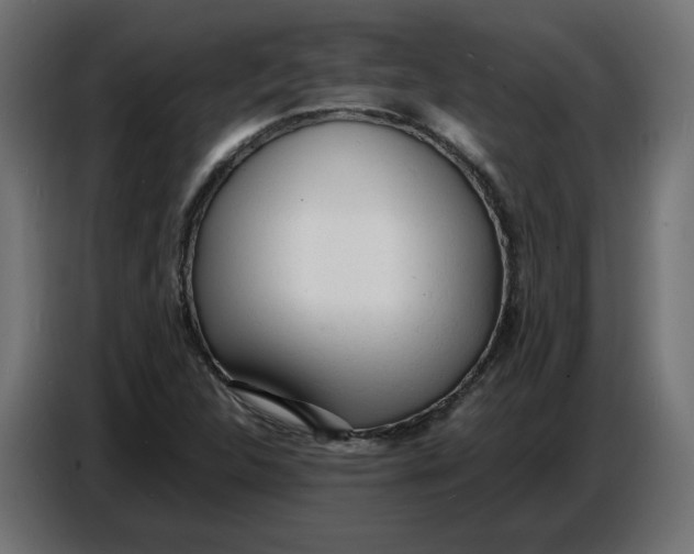 X0000086721312200705041320