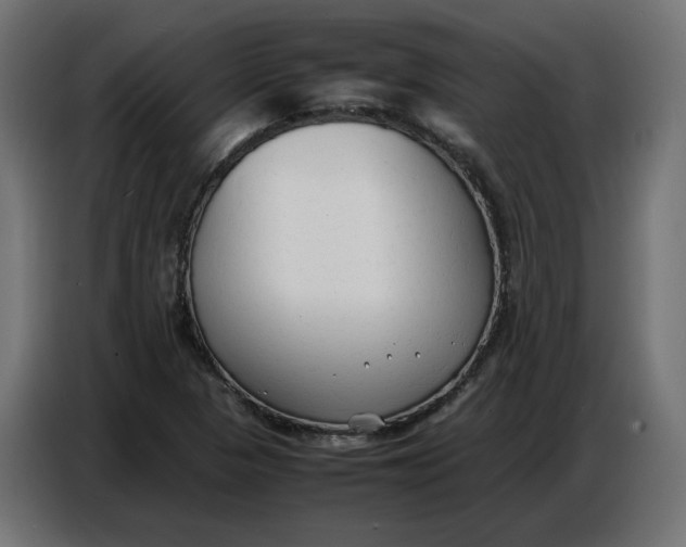 X0000086721313200705041320