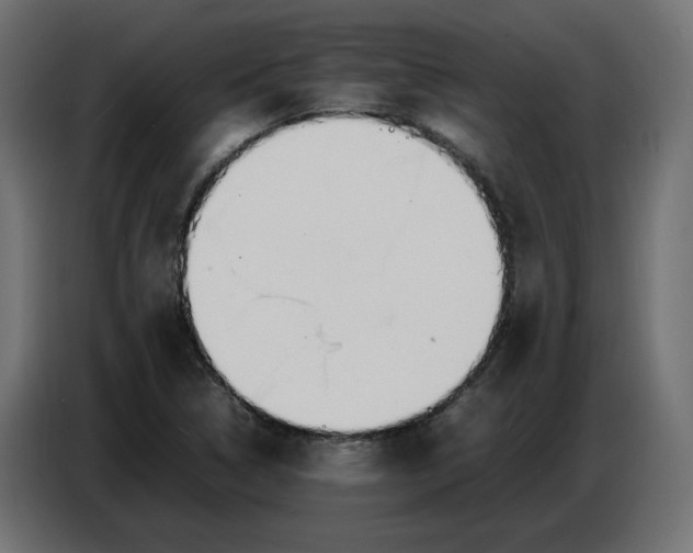 X0000086721314200705041320
