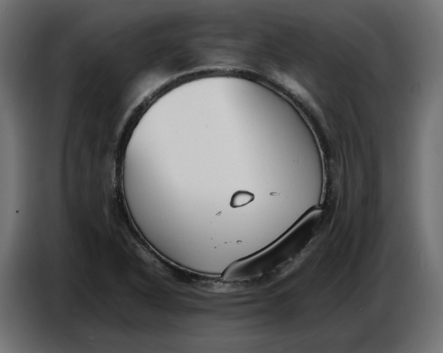 X0000086721318200705041320