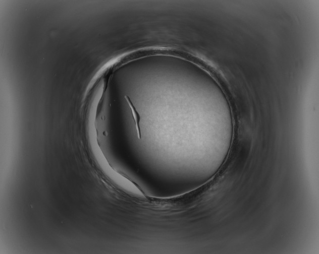 X0000086721319200705041320