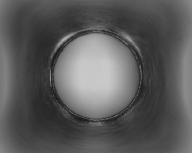 X0000086721320200705041320