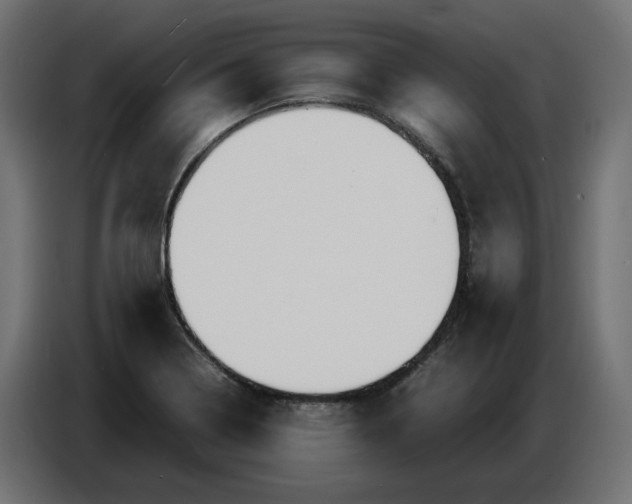 X0000086721322200705041320