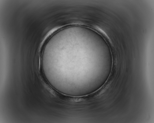 X0000086721323200705041320