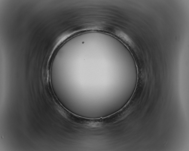 X0000086721324200705041320