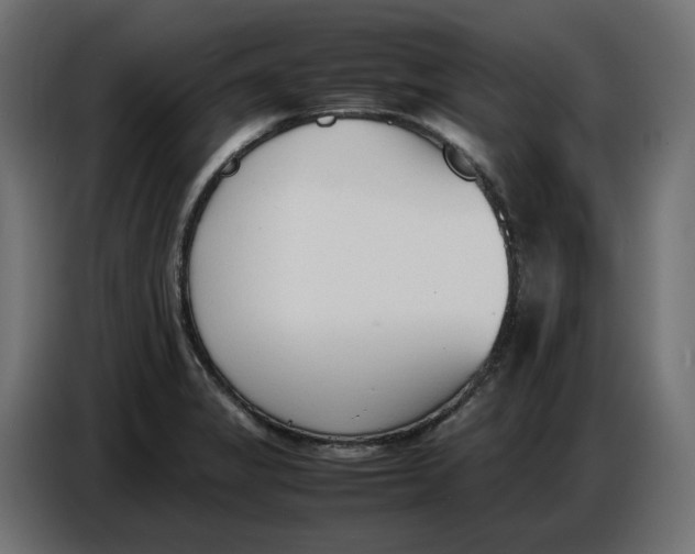X0000086721325200705041320