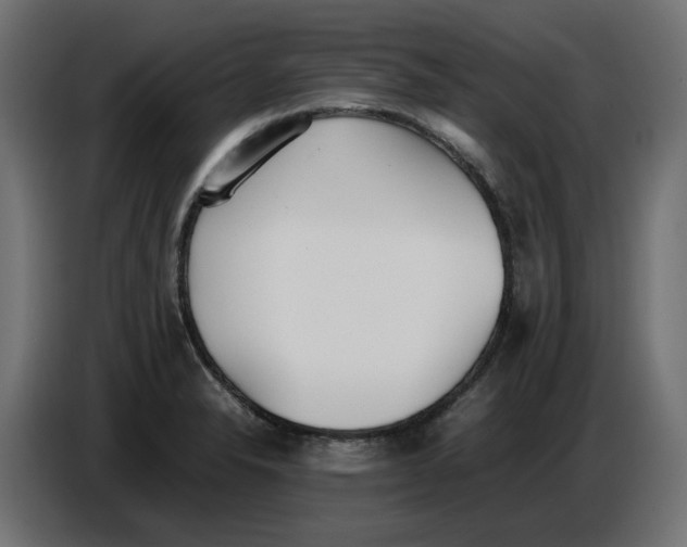X0000086721326200705041320