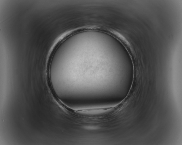 X0000086721327200705041320