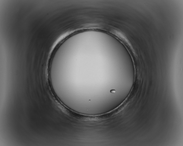 X0000086721328200705041320