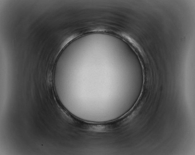 X0000086721329200705041320