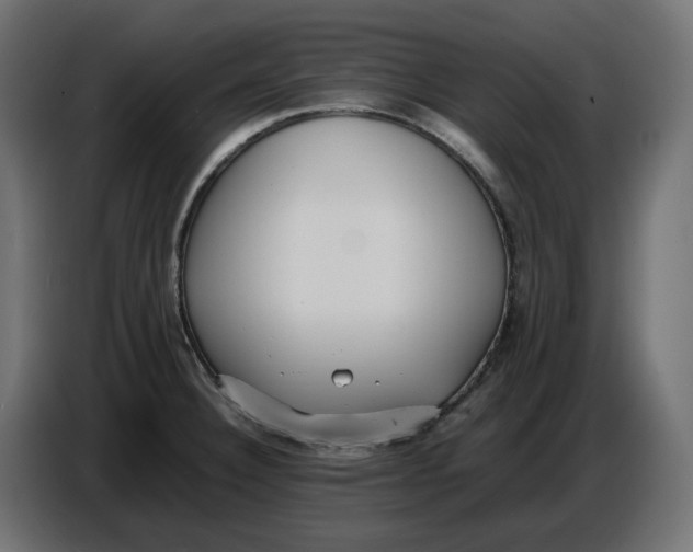 X0000086721332200705041320